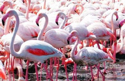 Gala Sardinia Apartament - Foto 26