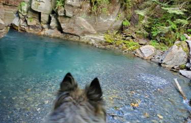 Studio cosy classé 3 étoiles dans cœur historique - Foto 16