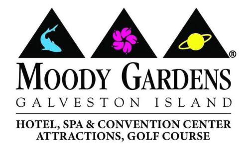 Pool Hot-Tub - 4 BR Luxury Home in Friendswood - Foto 48