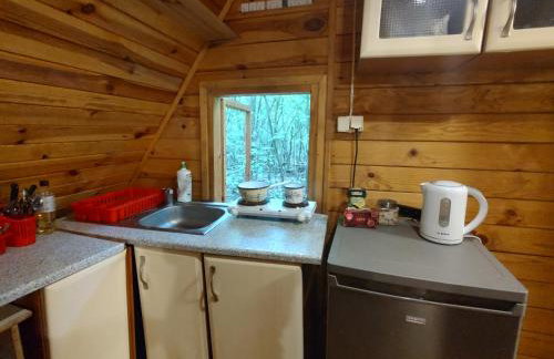 Domek w lesie - Foto 8