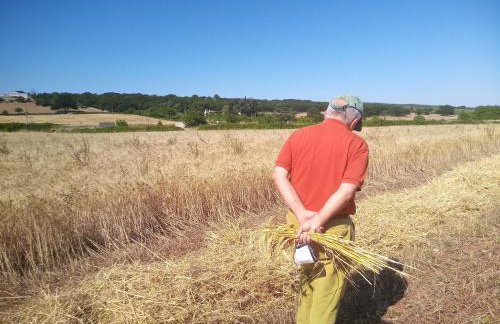 Agriturismo Teatro del grano - Foto 7