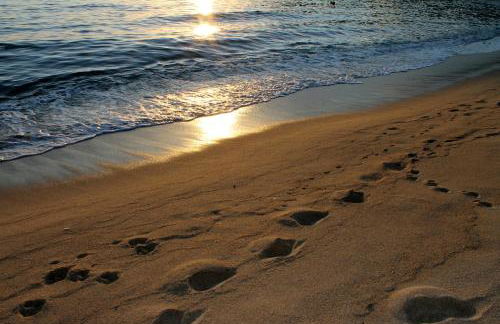 Residence Napoleon - HelloElba - Foto 24