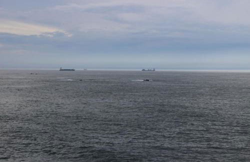 Matosinhos -Seas Apartment- Cabo das Marés - Foto 67