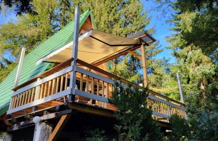 Finnhütte zwischen Wald und See - Foto 2