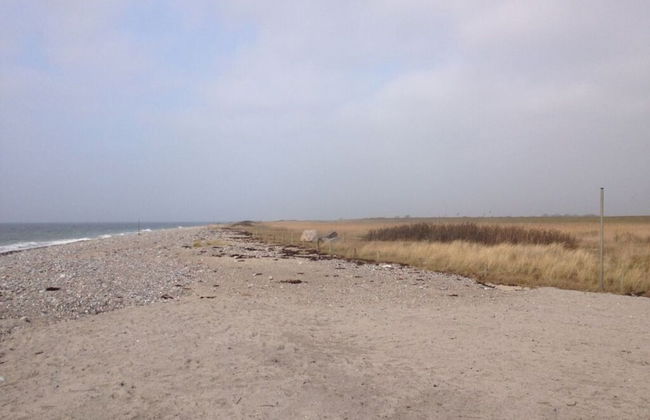 Holiday Apartment Inselstern - Foto 15