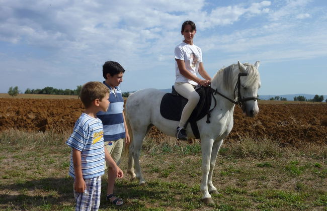 Casale dei Gelsi Bed & Breakfast - Foto 57