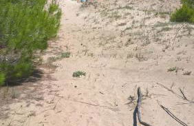 Casa al Porticciolo Campomarino Lido vicino Termoli - Photo 13