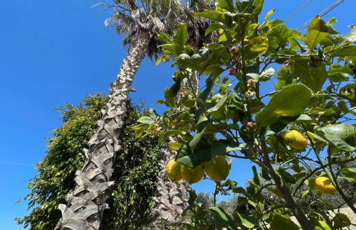 Villa Silvana - Foto 67