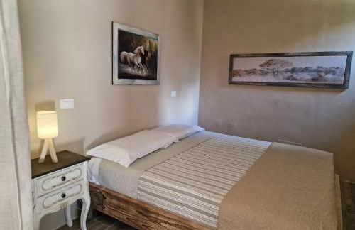 Sentinella dei castagni - Foto 6