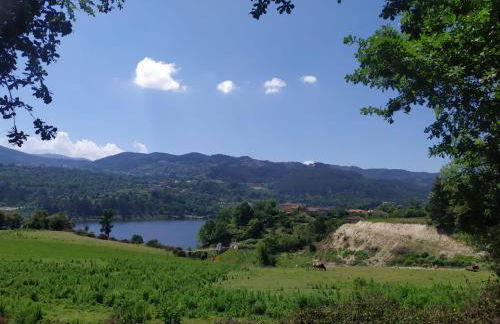 Casa do Carvalho - Foto 27