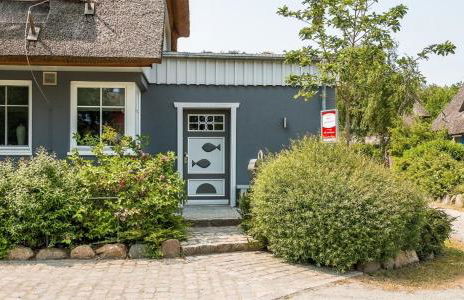 Freischwimmer - Foto 25