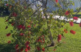 Silver villa Raches maisonette & Green - Foto 36