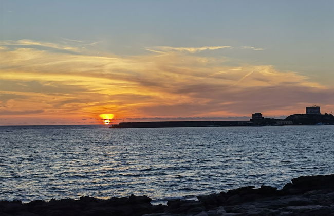 la corte degli ulivi - Foto 77