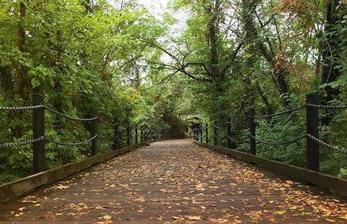 ALX Cape Cod 3-BR Near Old Town & Mount Vernon - Foto 31