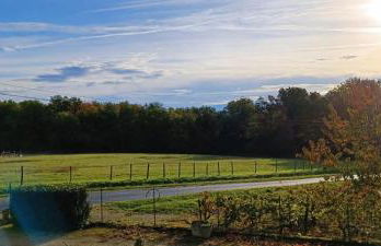 Pleine nature, 10 min zoo Beauval Mareuil sur cher - Foto 17
