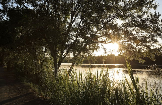 Ingenia Holidays Nepean River - Foto 76