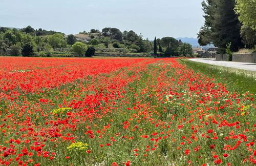 Studio cosy à Lagnes avec Piscine au milieu des oliviers - Foto 12