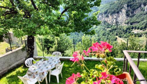 Casa Butterfly - Foto 2, Garden