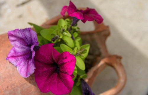 Platipodi stone house - Photo 8