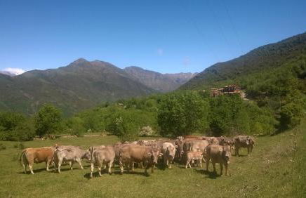 La Faiada - Photo 37