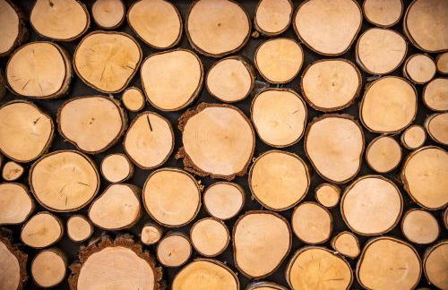 Residence Bosco Verde - Photo 38