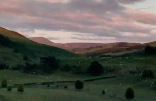 Bwthyn Gweilch - Photo 17