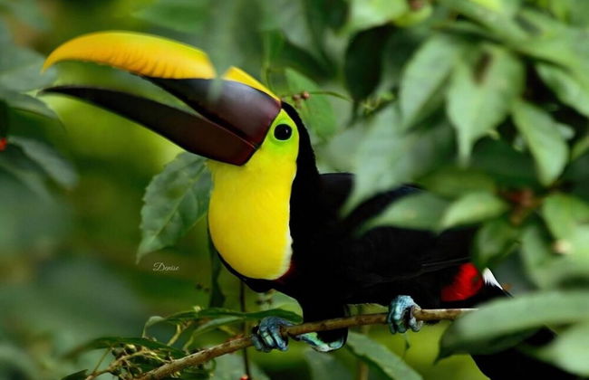 Luxe! Impressively designed 2nd-floor unit in Coco done in red and orange hues - Photo 32