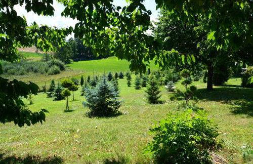 Gęsia Sielanka - Foto 33