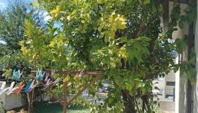 Casa Fatinha - Foto 4