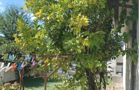 Casa Fatinha - Foto 4