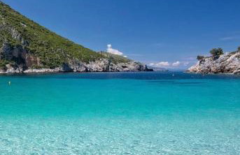 Petrino Minimal - Foto 60