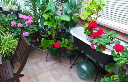 Casa Museo Jerez Centro - Foto 23