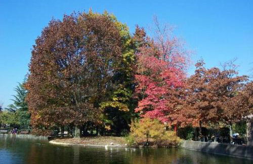 Confortevole bilocale a Basiglio - Milano 3 - Foto 21