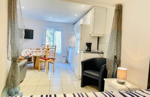 Residence Louis Le Lavoir - Foto 34