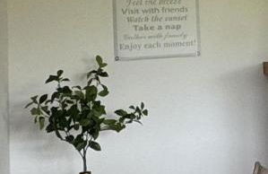 Lavendelhaus - Foto 6