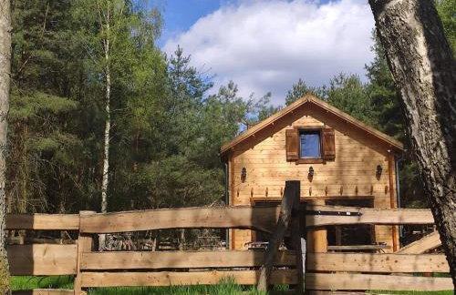 Przystań Zakapiora - Foto 4