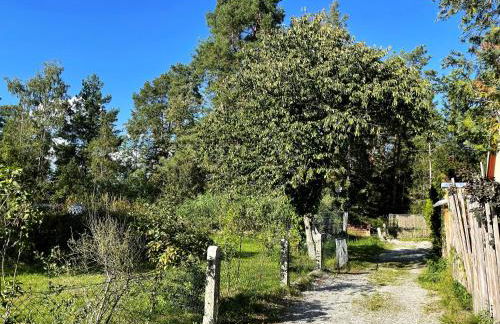 Hoffmannshof - Foto 11