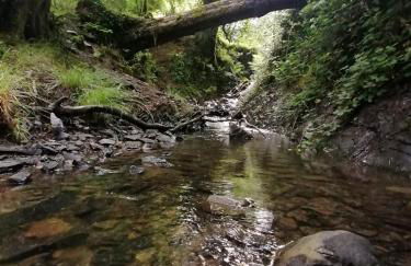 Luxury Lodge sea view at Bideford Bay Hoilday Park Parkdean Resorts - Foto 13