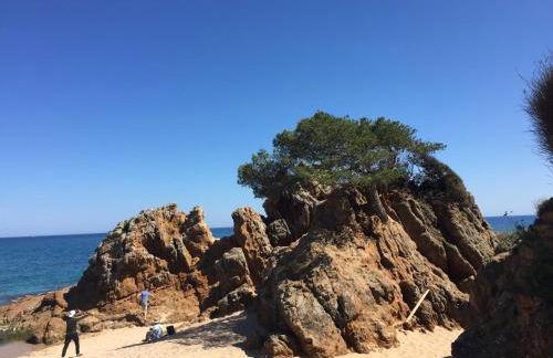 Apartamentos Jardín Turquesa - Foto 45