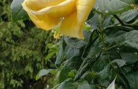 suite in cascina affittacamere - Photo 24