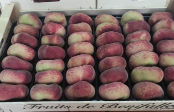 Casa Rural Casa Puntes - Photo 27