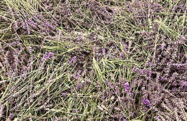 Casa laggiù - Foto 58