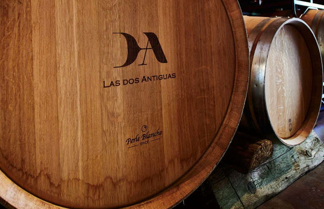 Visita à vinícola Las dos Antiguas - Foto 8