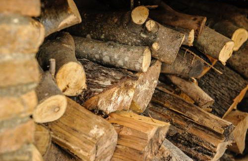 Artemis Sunrise - Foto 54