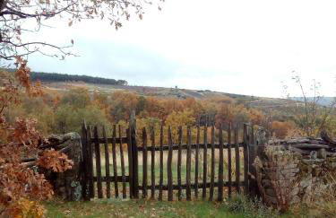 Abrigo Montesinho - Foto 21