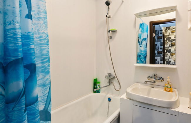 GM Apartment Krasnaya Presnya 38 - Foto 15