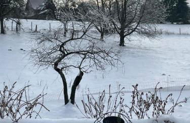 Ferienwohnung Bernhardsteinblick - Photo 8