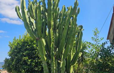 Appartamento Azzurro Mare - Foto 49