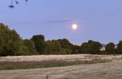 The Swallows Rest, Avebury - Foto 48