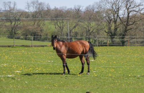 The Attic at Redmond Bottom - Photo 28